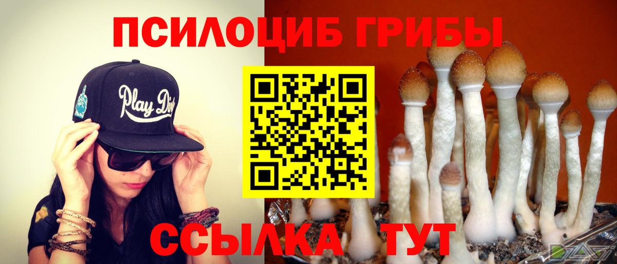 Псилоцибиновые грибы GOLDEN TEACHER Кизилюрт