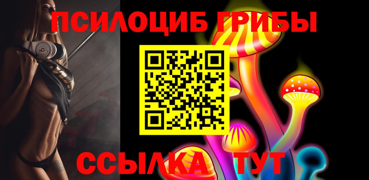 Кизилюрт  Галлюциногенные грибы Psilocybine cubensis  Галлюциногенные грибы Magic Shrooms  Вход с VPN 