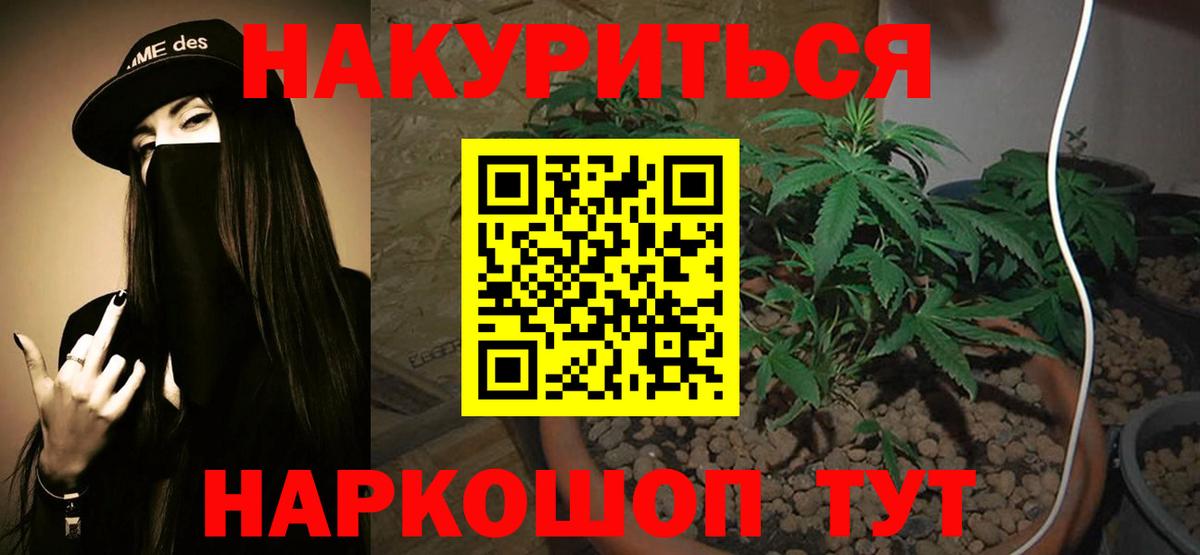 Шишки марихуана план Кизилюрт